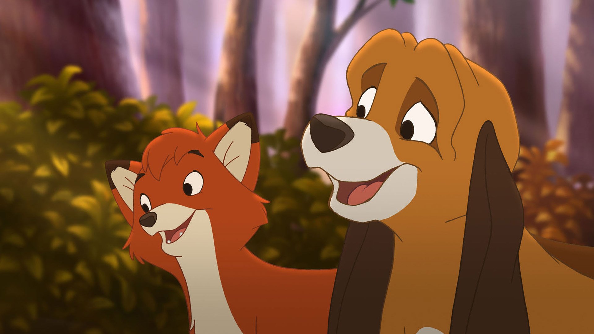 Toby the fox and the hound