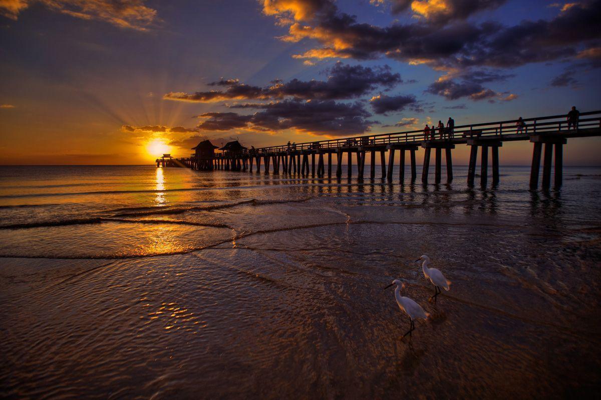 Naples Florida Wallpaper