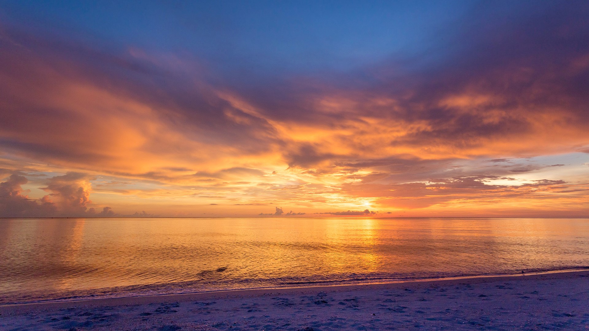 Naples beach amazing sunset and calm ocean, Florida, USA. Windows 10 Spotlight Image