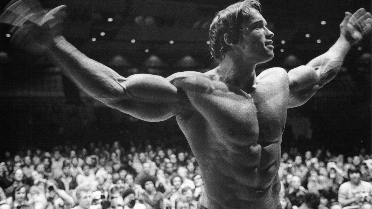 Body Building Fitness Muscle Muscles Weight Lifting Bodybuilding Wallpaperx1080