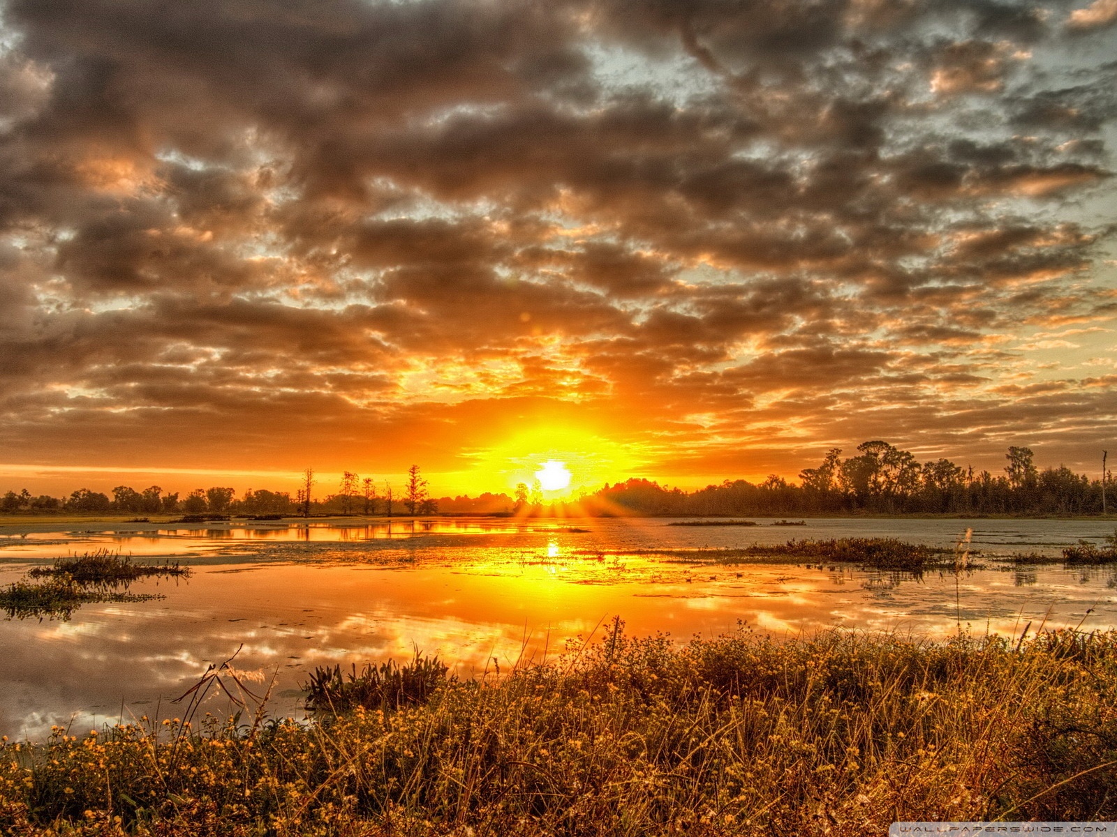 Sunset Pond Wallpapers Wallpaper Cave