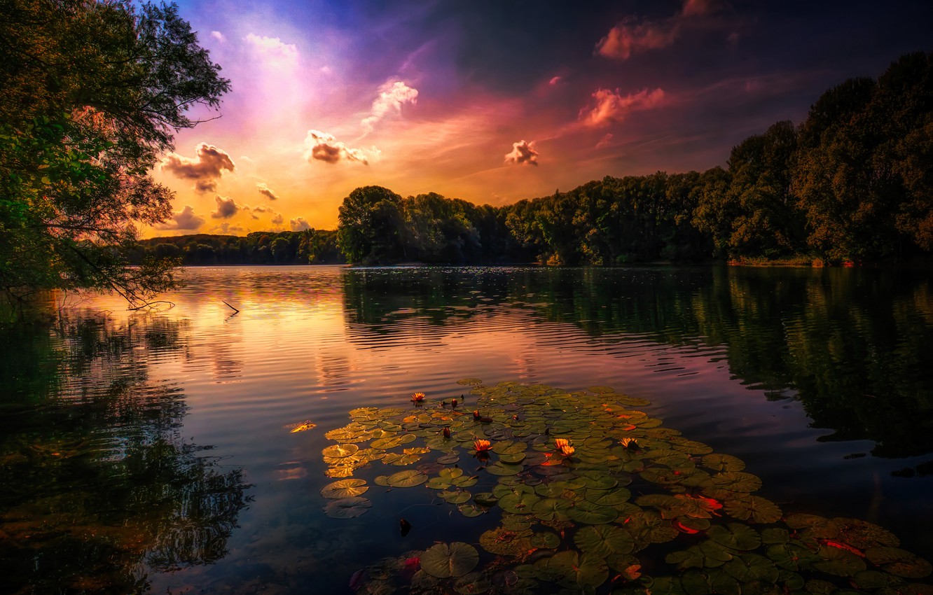 Sunset Pond Wallpapers Wallpaper Cave