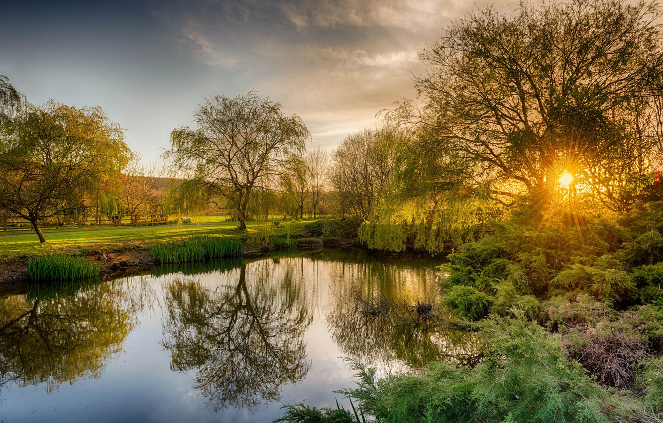 Wallpaper trees, sunset, pond, England, Petersfield image for desktop, section природа
