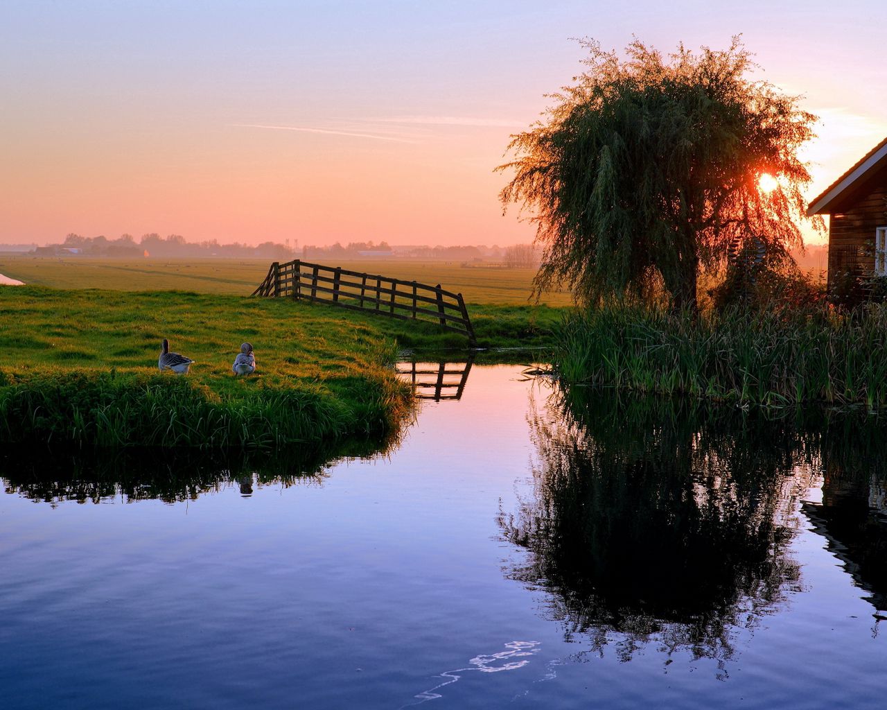 Download wallpaper 1280x1024 pond, house, sunset, ducks, village standard 5:4 HD background