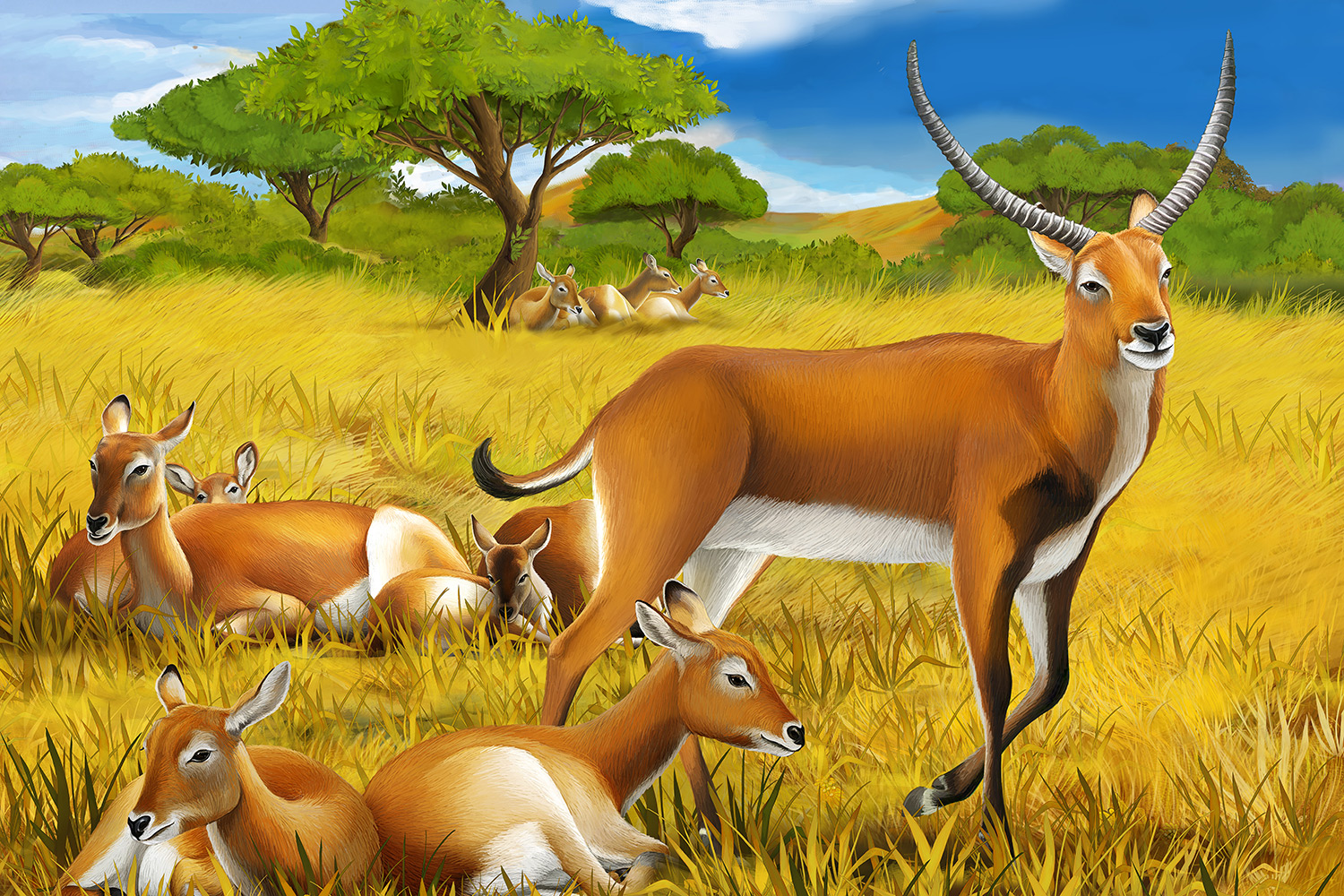 Deer Family. Print A Wallpaper