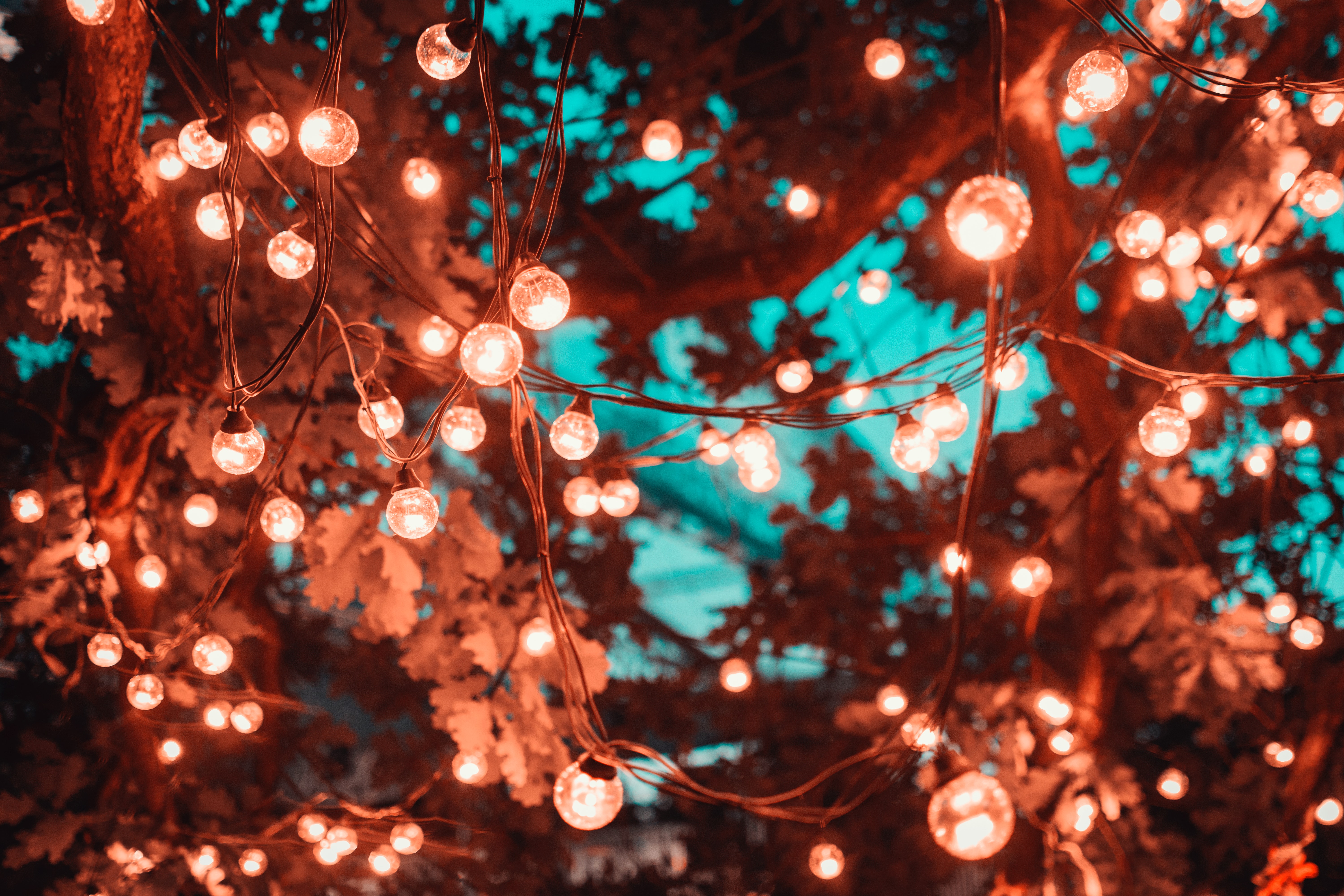 260+ Christmas Lights HD Wallpapers and Backgrounds