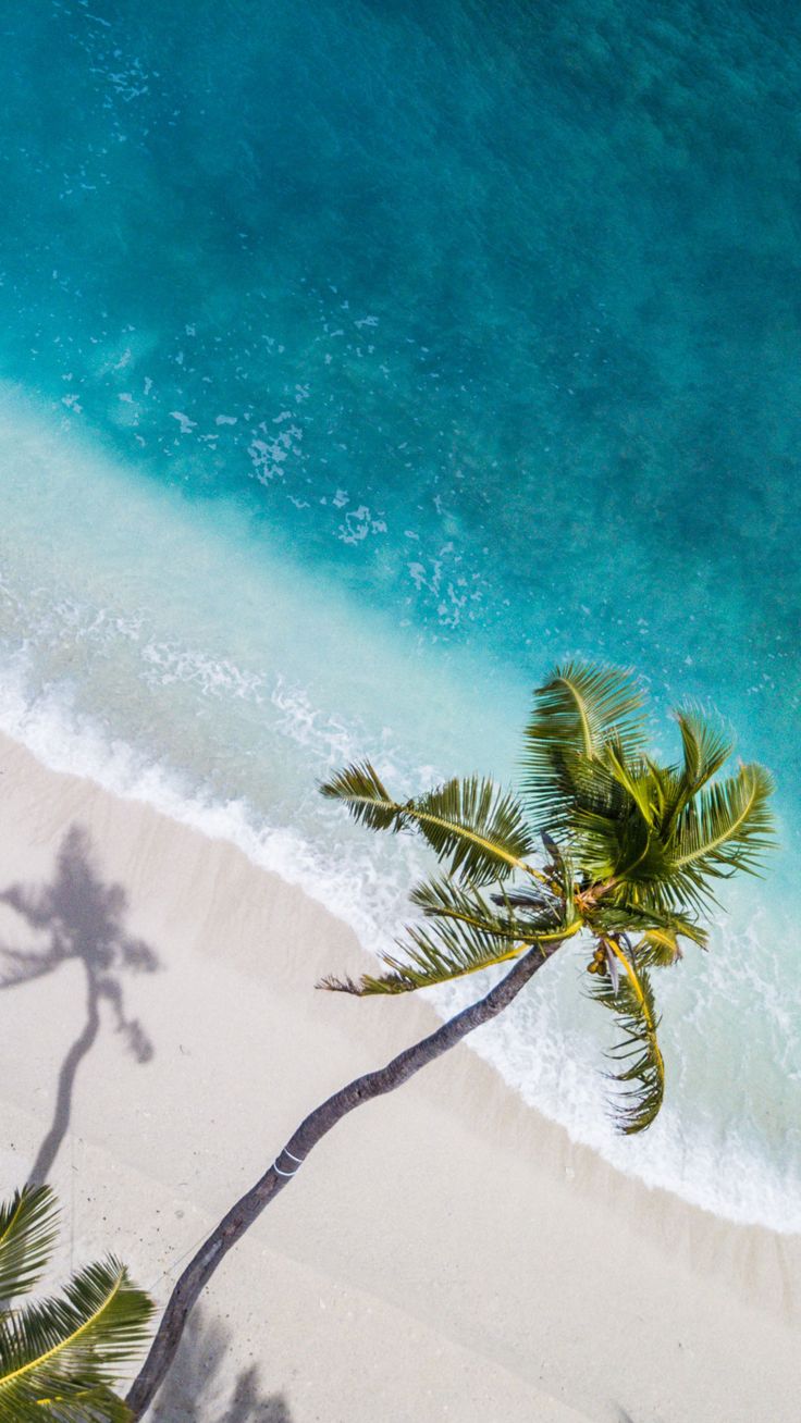 Island Wallpaper for iPhone. Island wallpaper, Beach wallpaper, Summer beach picture