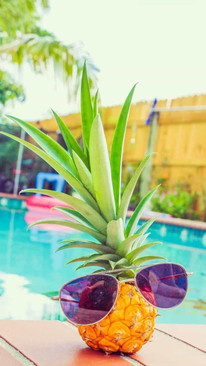Summer iPhone Wallpaper