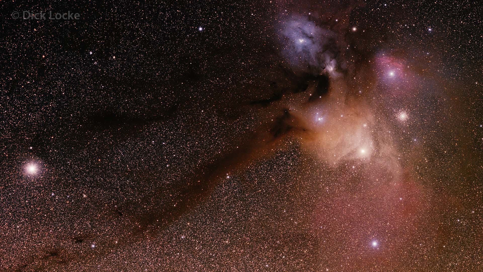 Antares Image (Picture of the Antares area in Scorpius)