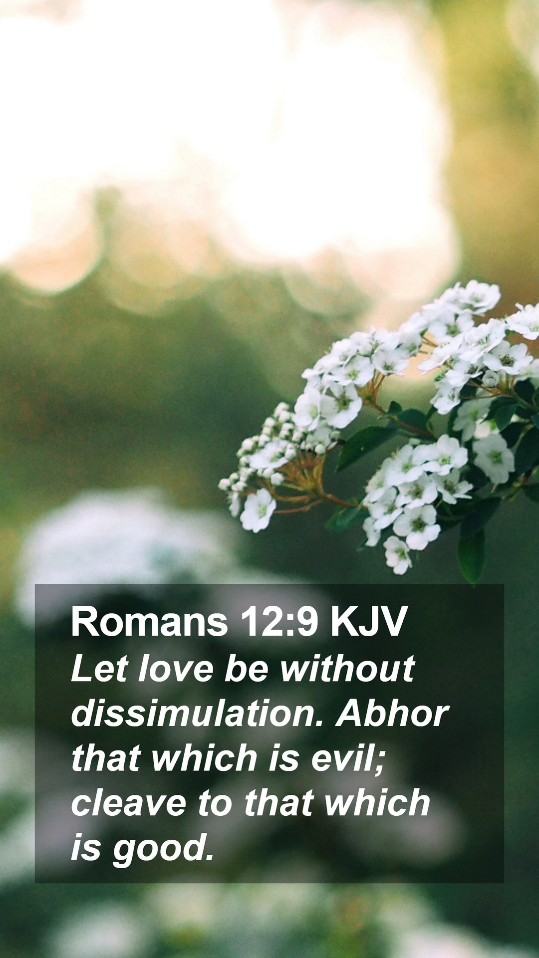 Romans 12:9 KJV Mobile Phone Wallpaper love be without dissimulation. Abhor that