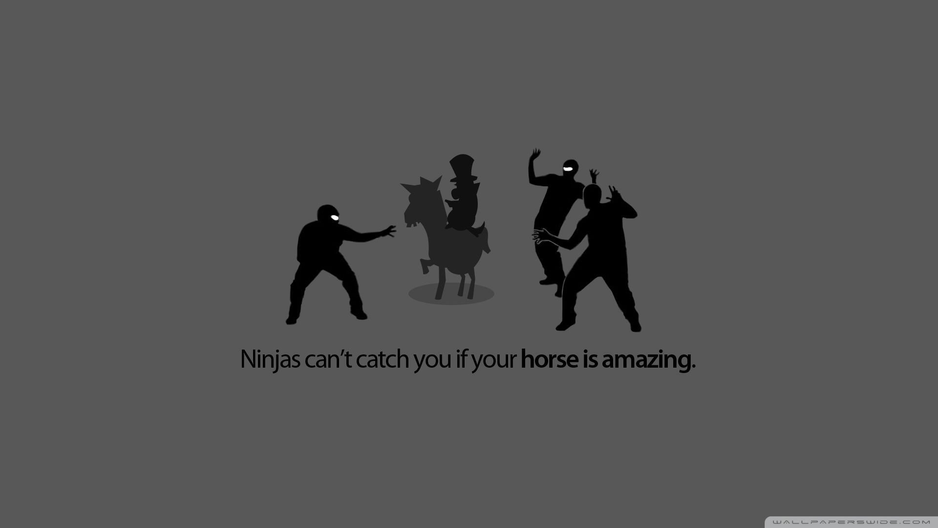 Funny Ninja Wallpaper