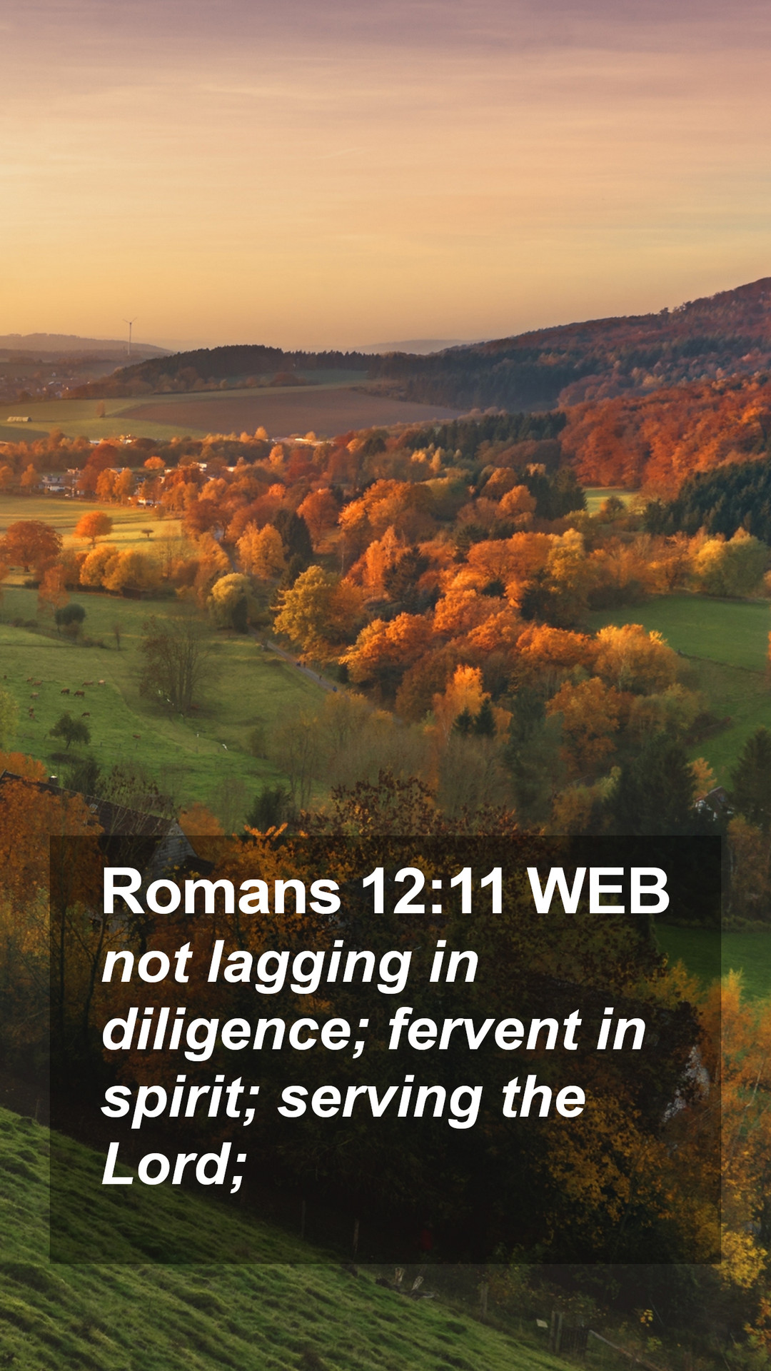 Romans 12:11 WEB Mobile Phone Wallpaper lagging in diligence; fervent in spirit;