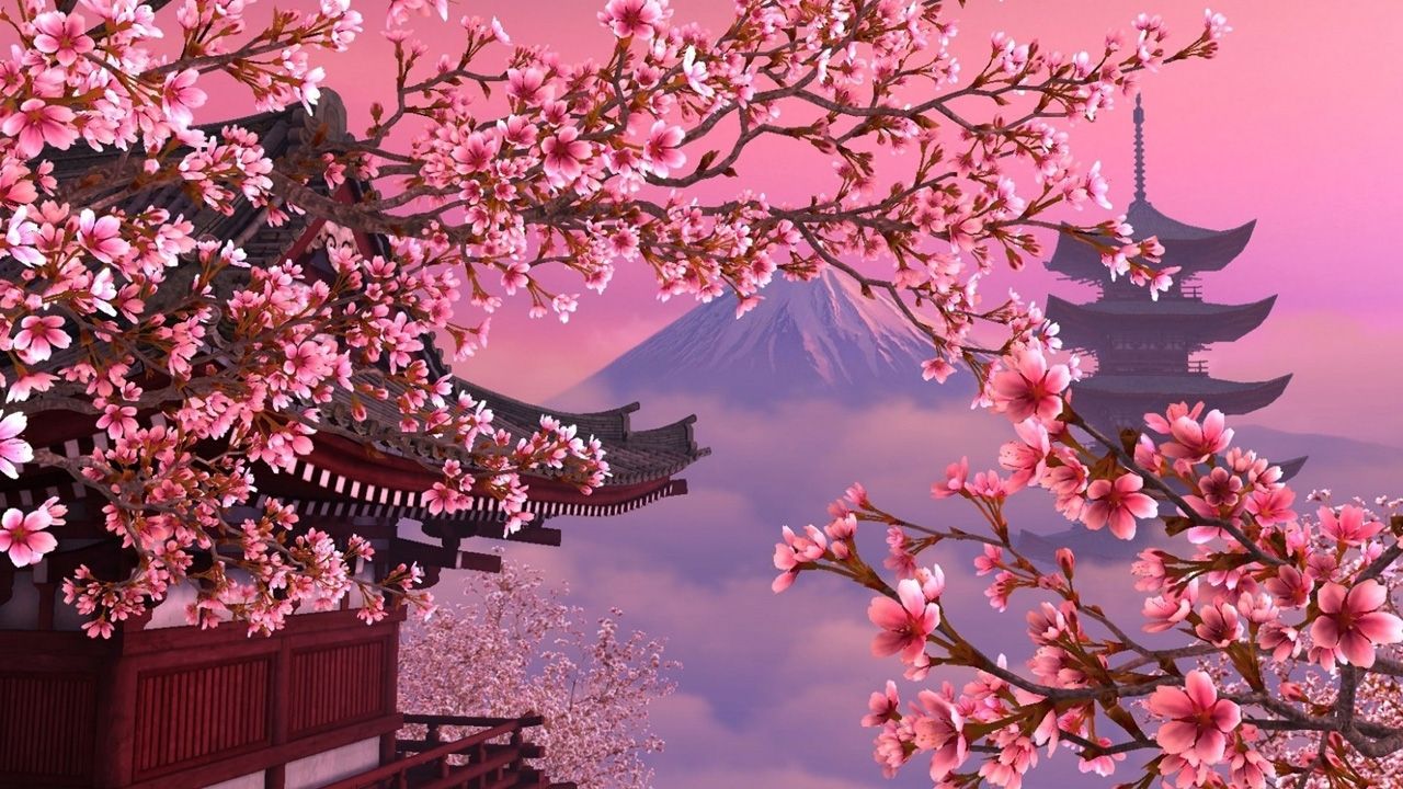 Cherry Blossom Desktop Wallpaper