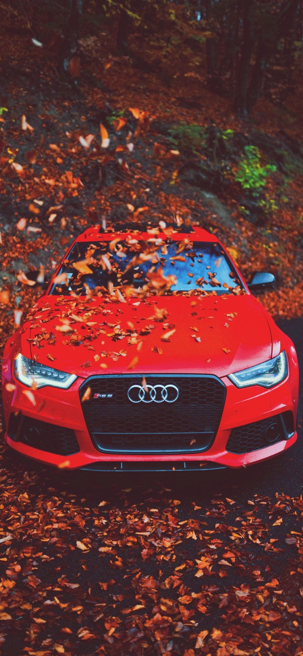 Audi Wallpaper Quality Audi Background [ 30 + HD ]