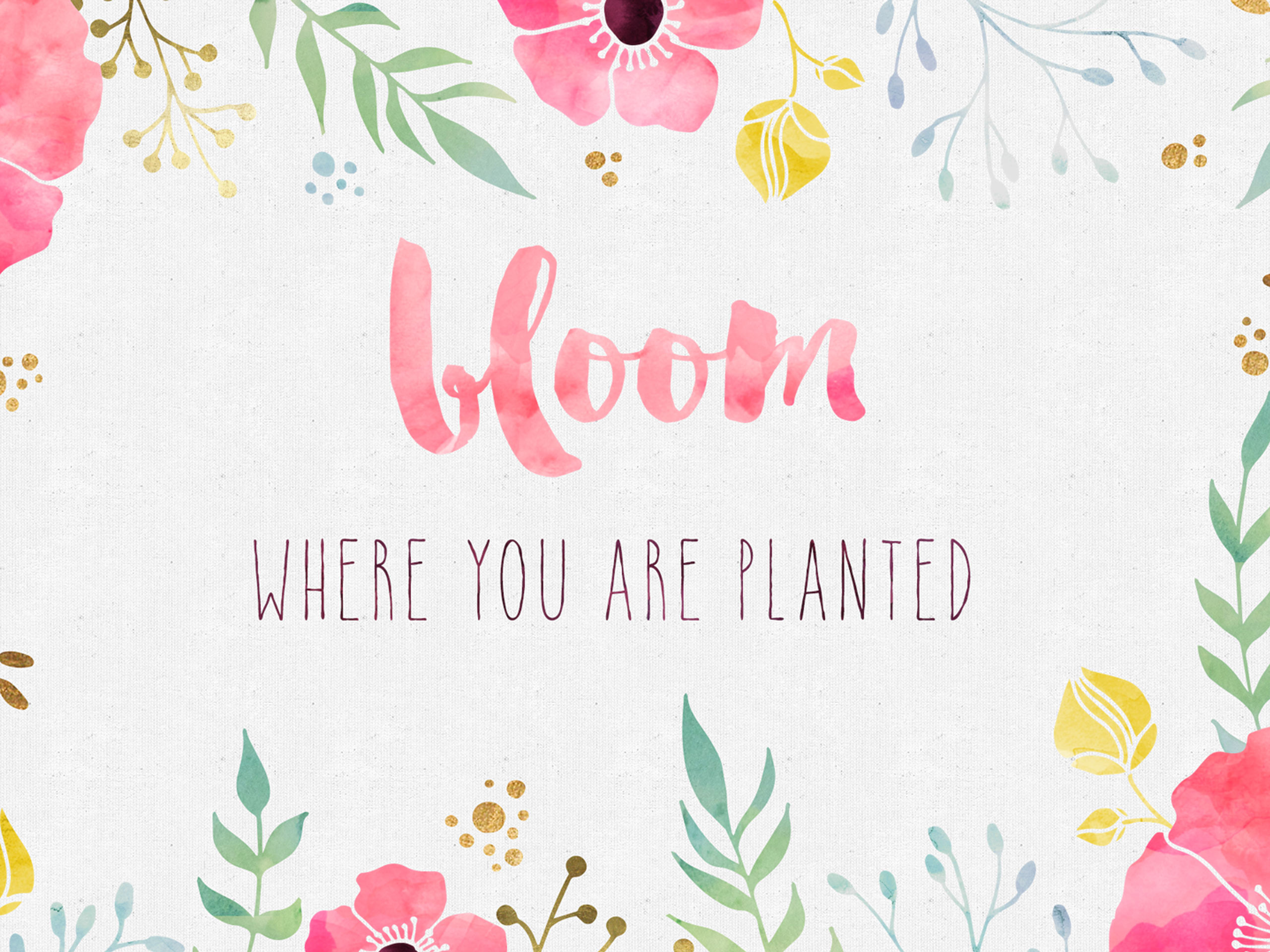 Free Desktop Wallpaper Where you are Planted