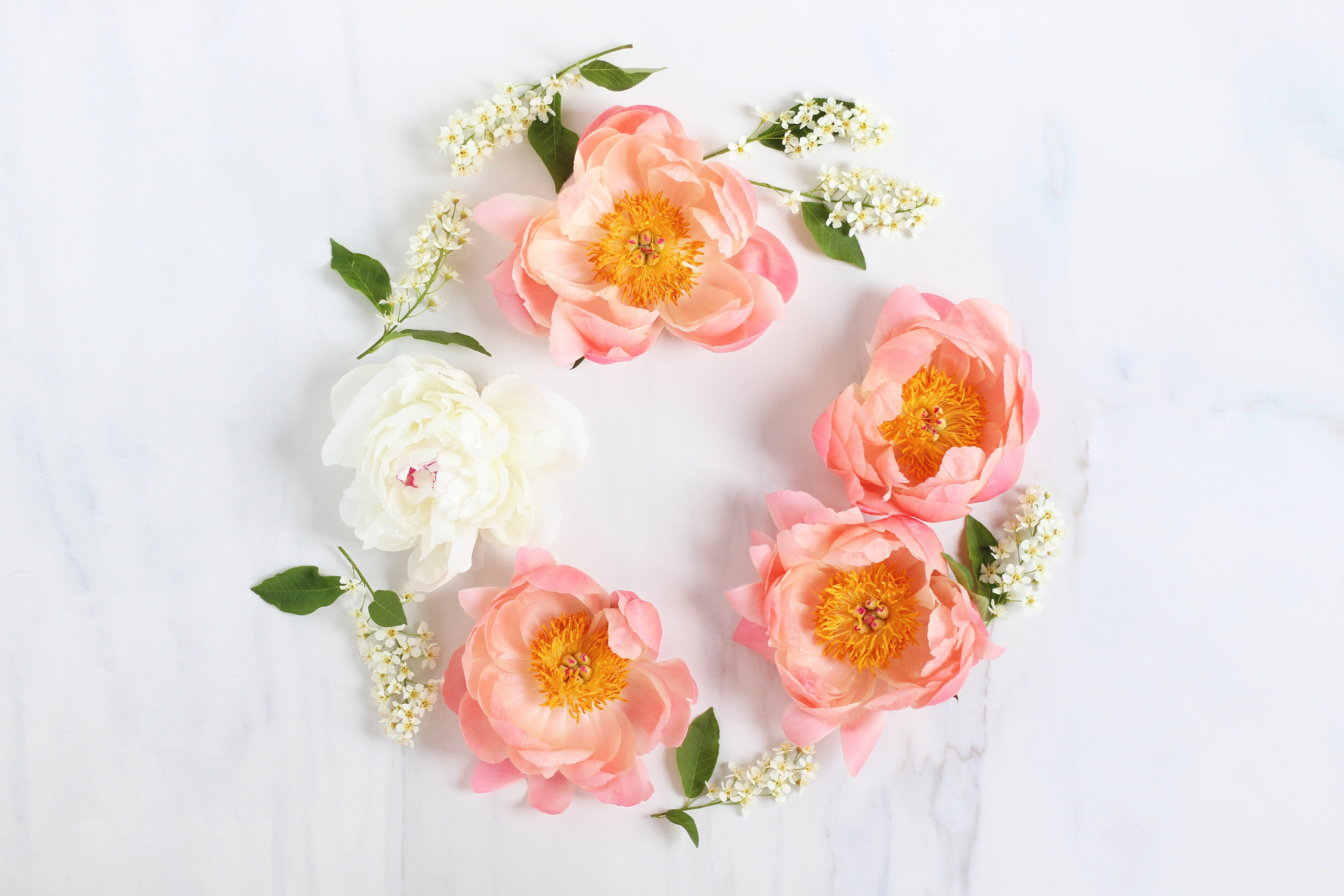 DIGITAL BLOOMS JUNE 2017. FREE DESKTOP WALLPAPERS