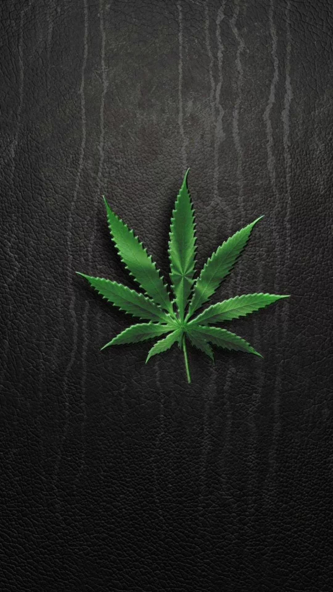 Weed Wallpaper Weed Background, Image & Photo
