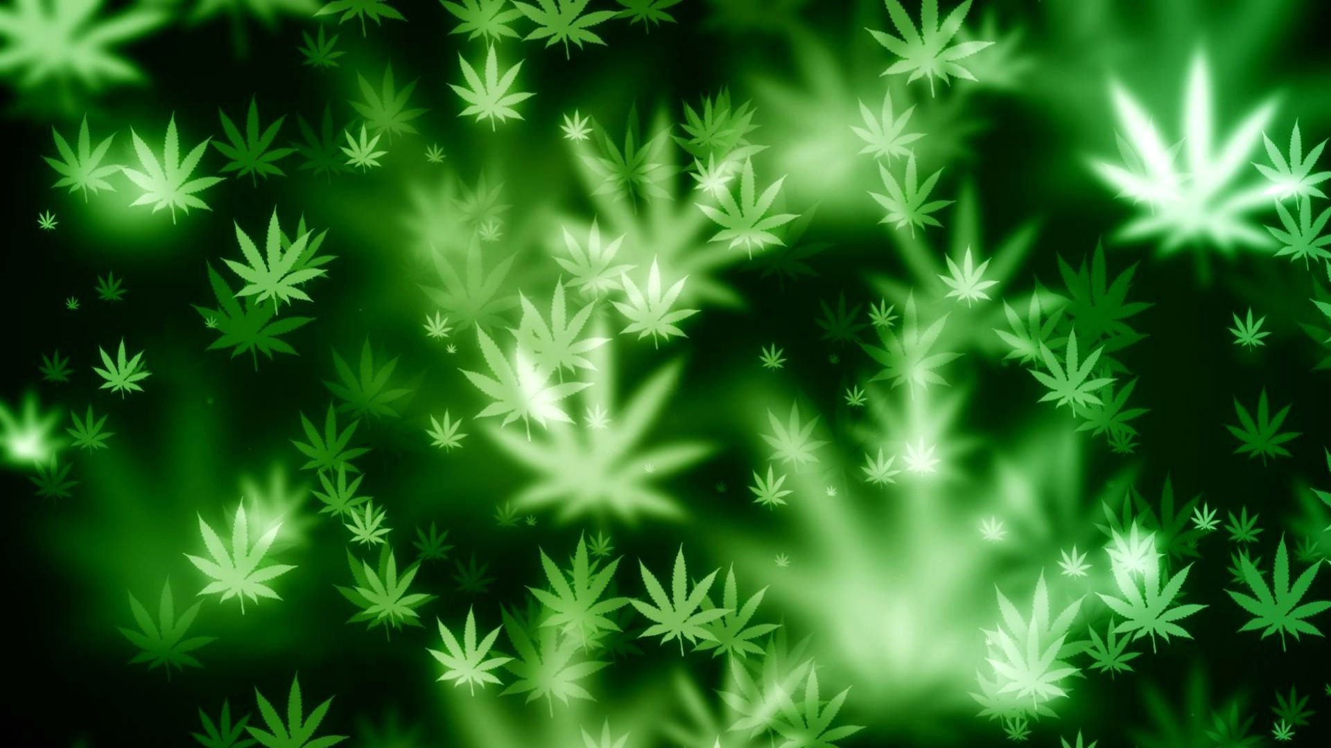 Marijuana weed 420 drugs wallpaperx1080