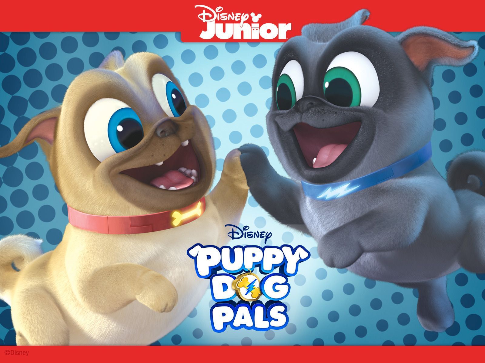 Puppy Dog Pals Laptop Wallpaper Free Puppy Dog Pals Laptop Background