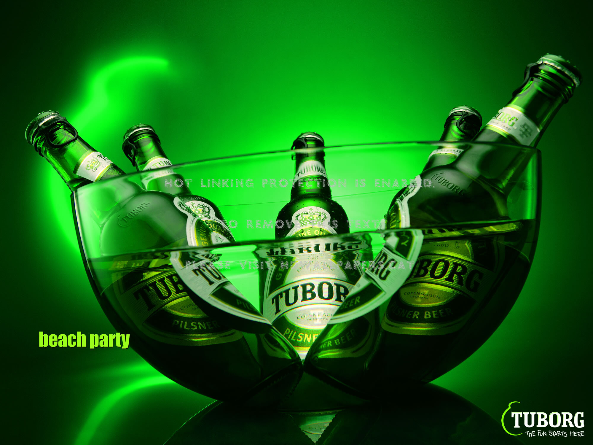 tuborg beer drink bottles alcohol abstract