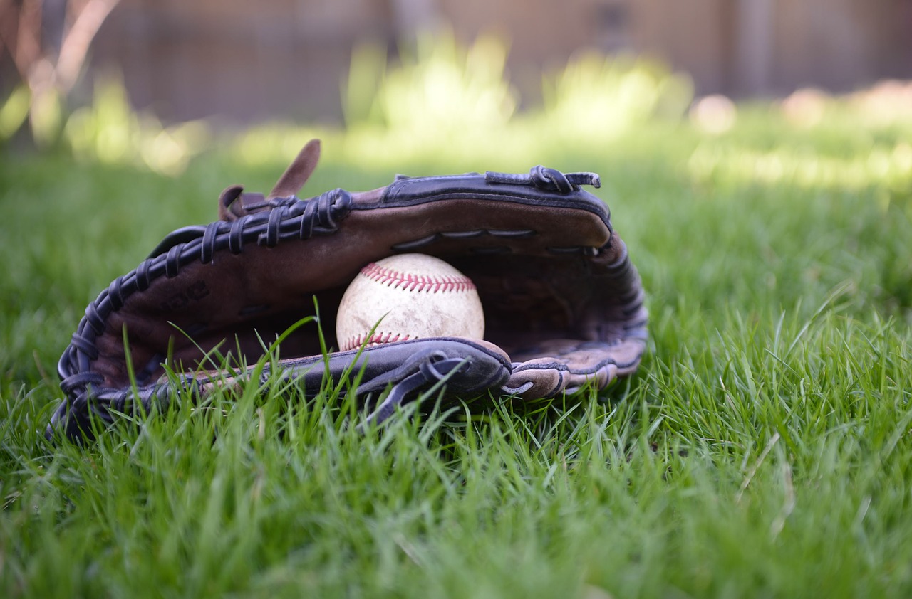 Baseball Glove Ball