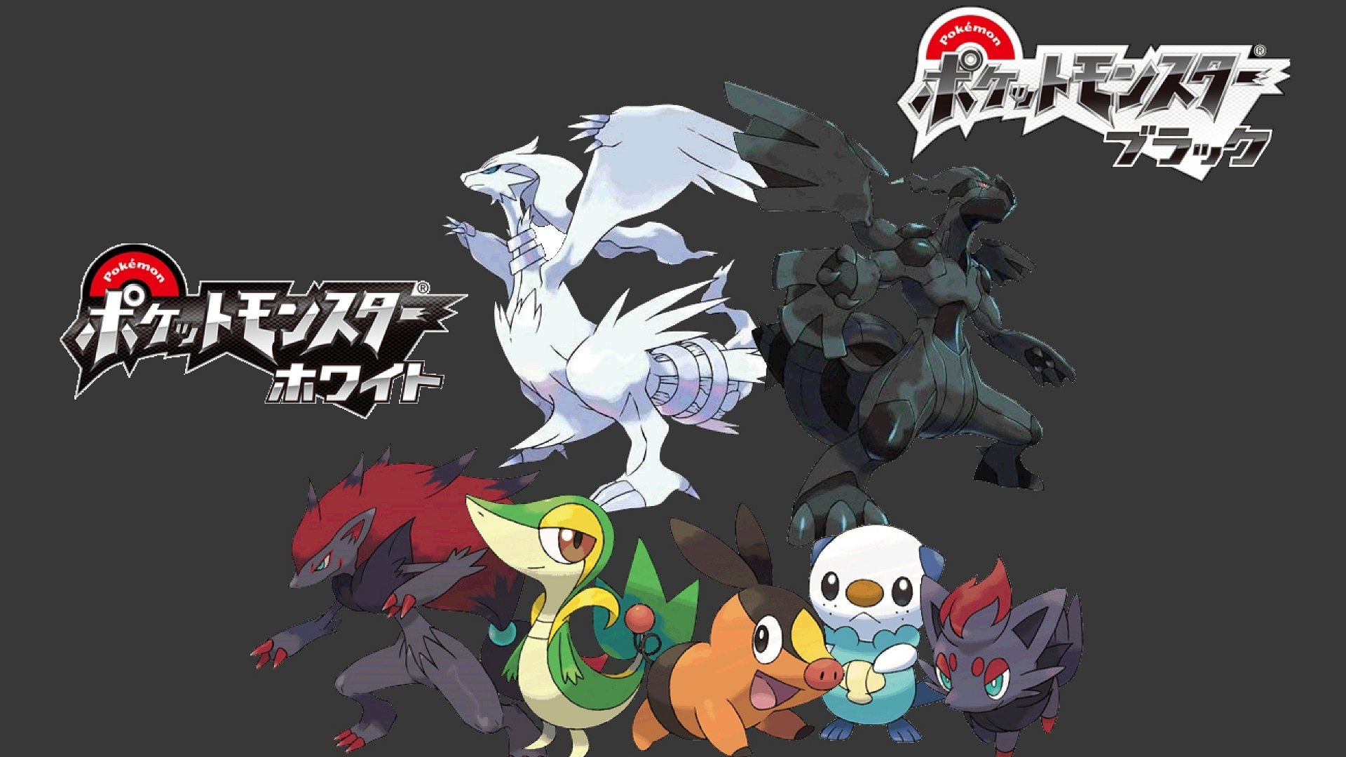 Pokemon: Black And White Wallpaperx1080