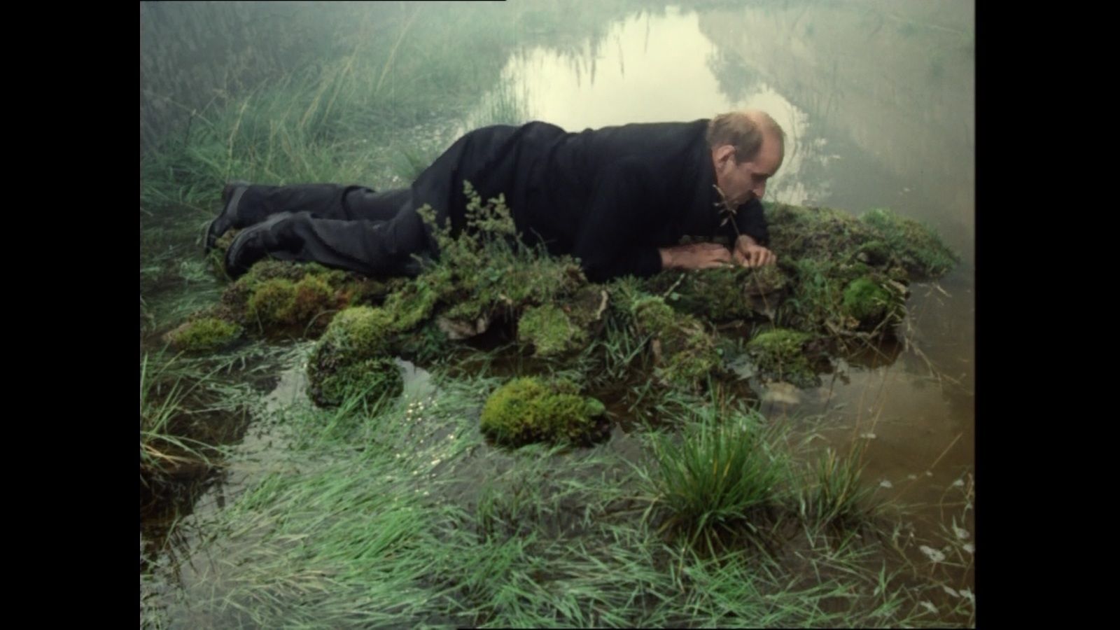 Tarkovsky- Stalker. Film inspiration, Film art, Stalker