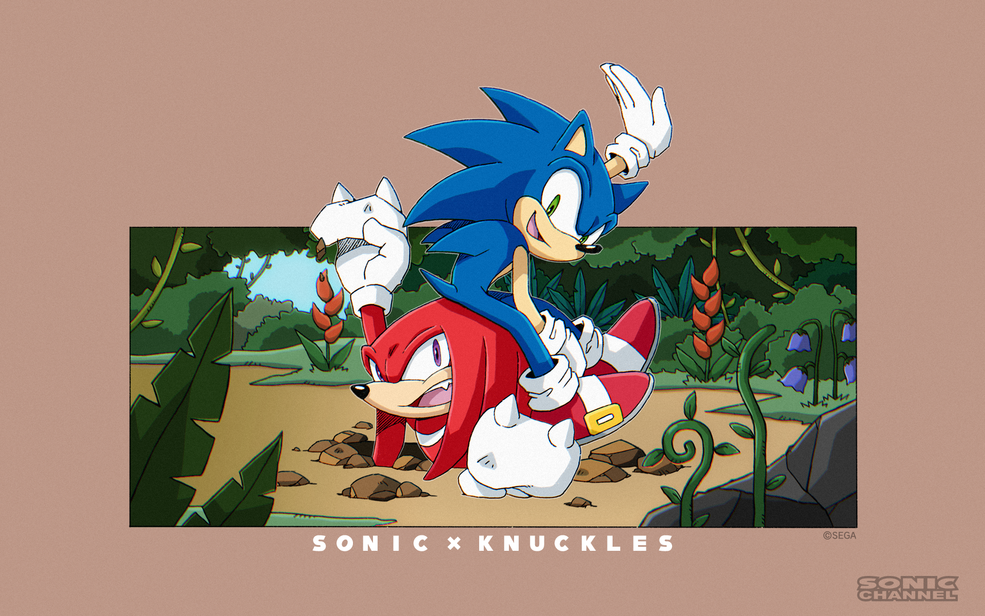 New Official Artwork for February 2021 Focuses On Sonic & Knuckles Sonic Stadium