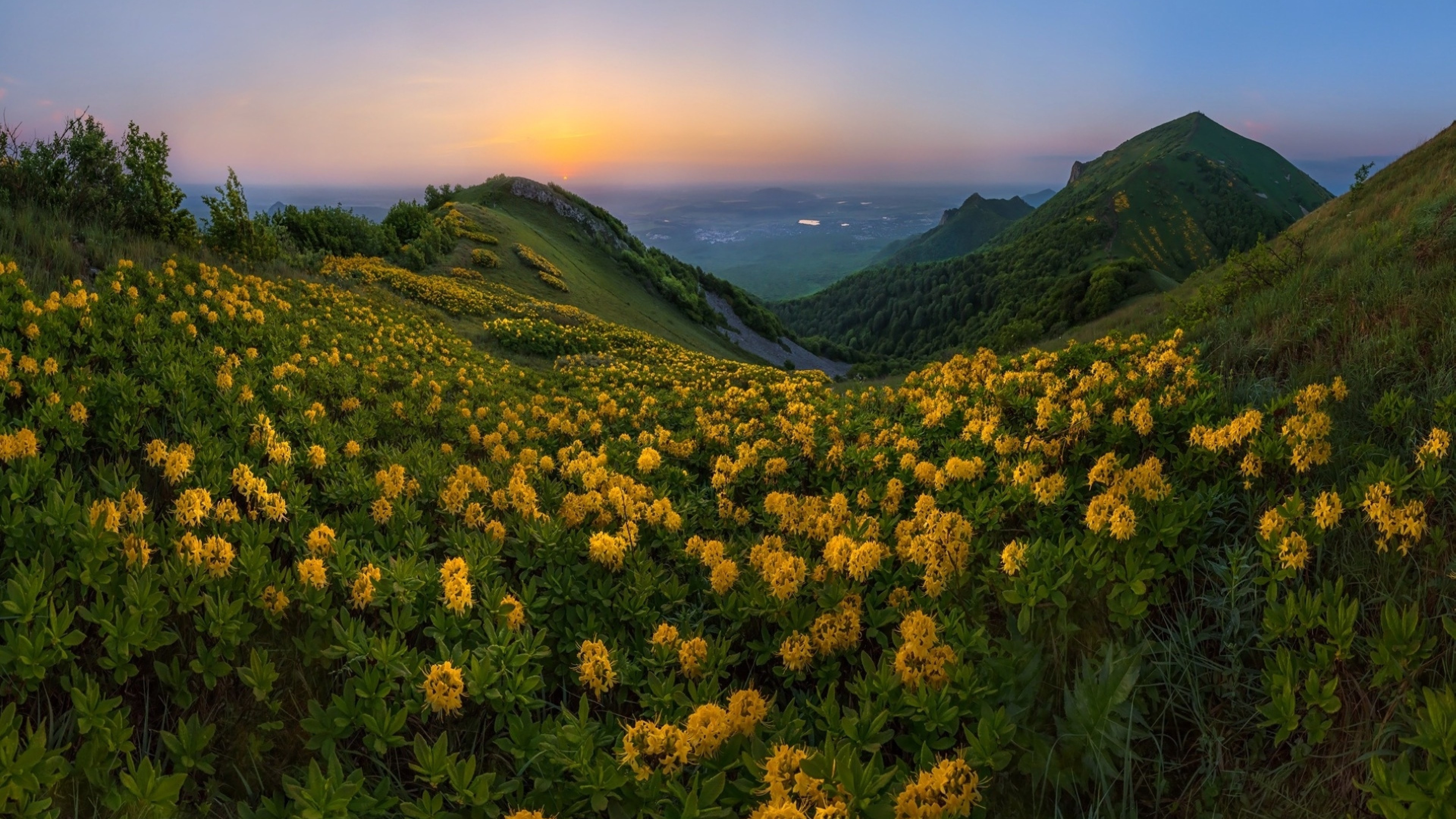 Download 3840x2160 Yellow Flowers, Field, Sunset, Hill, Mountain Wallpaper for UHD TV