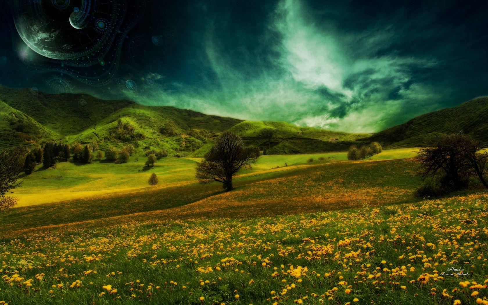 Download wallpaper 1680x1050 field, hills, flowers, landscape widescreen 16:10 HD background