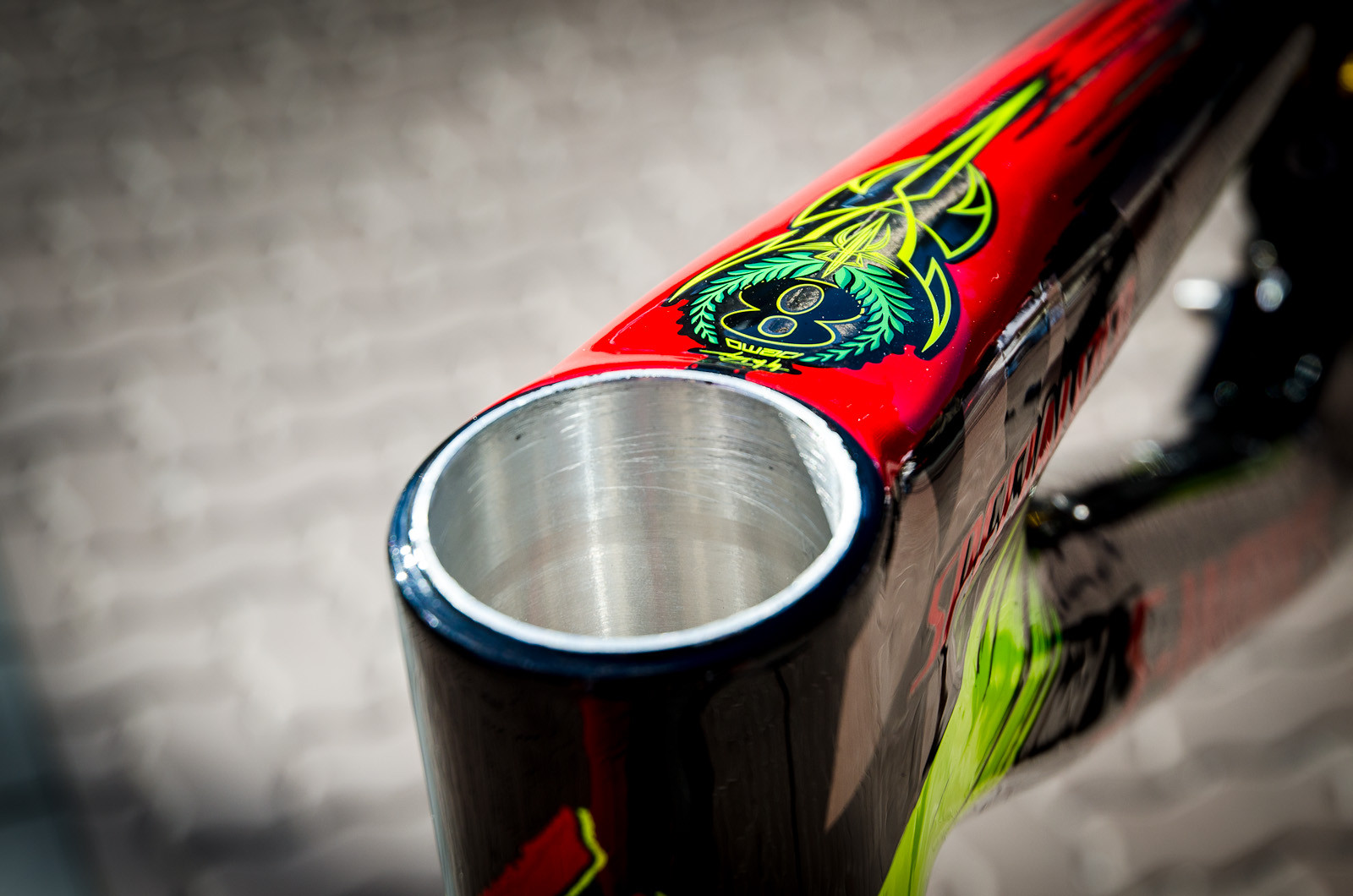 Details Details Details Look: Limited Edition 2013 Specialized / Troy Lee Designs Frames Biking Picture