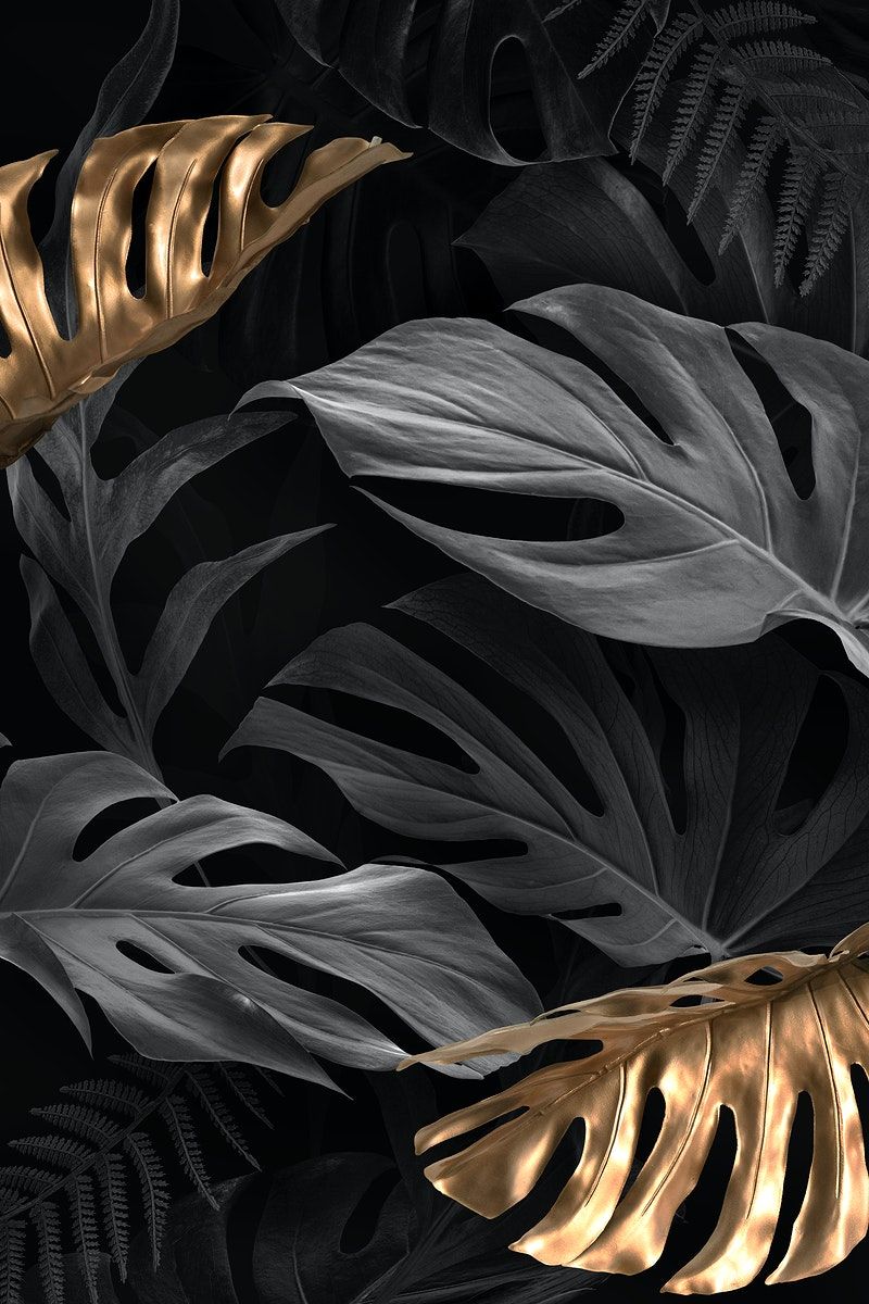 Gold and black Monstera Deliciosa leaves. premium image / nunny. Gold wallpaper background, Gold and black background, White and gold wallpaper