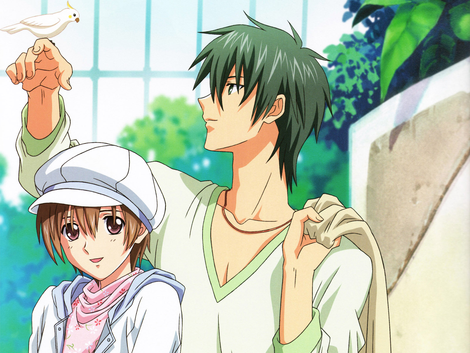 special a A Wallpaper