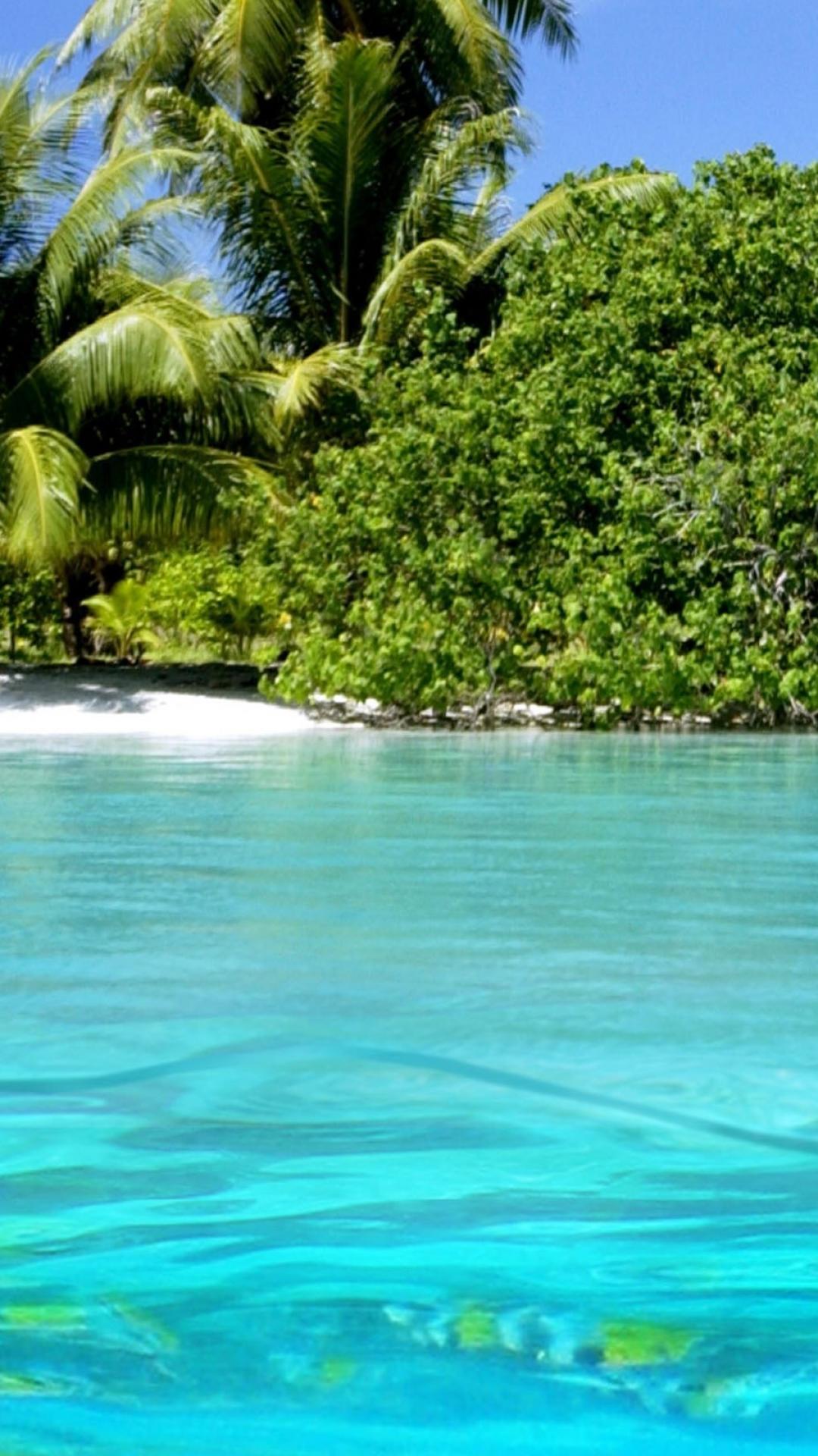 Low Quality Mobile Wallpapers Wallpaper Cave