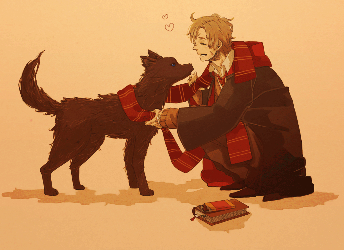 Harry Potter Wallpaper Anime Image Board