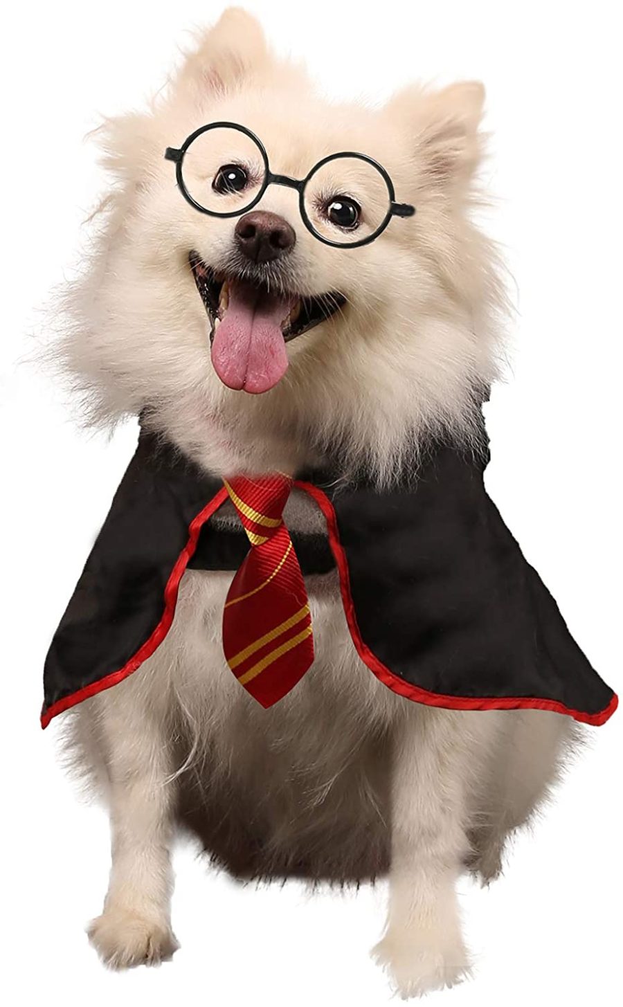 Harry Potter Dog Names (& Their Meanings!)