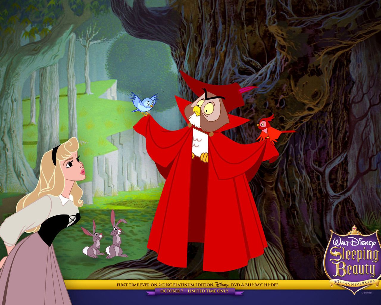 Wallpaper Disney Sleeping Beauty Cartoons, 127074. Disney sleeping beauty, Sleeping beauty cartoon, Disney princess aurora