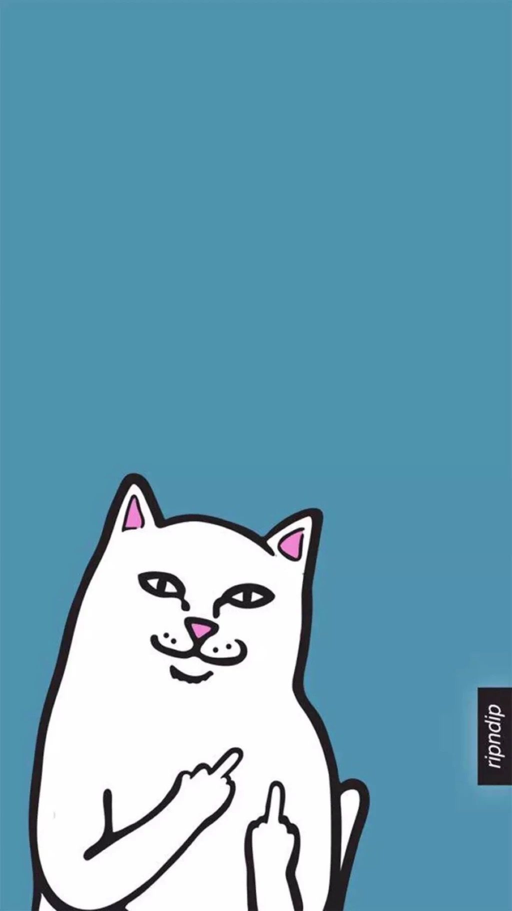 Swag Cat Wallpaper