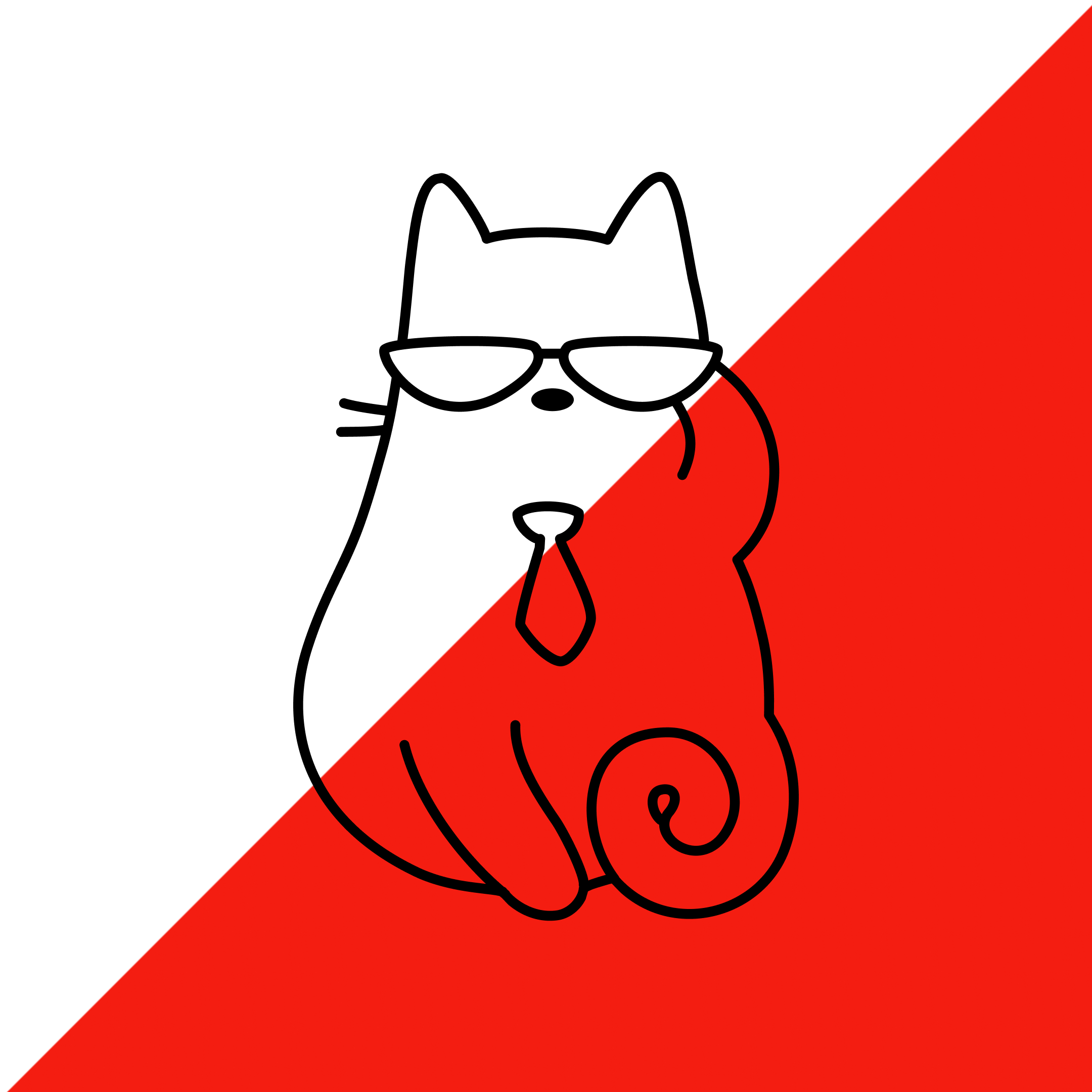 Swag Cat Wallpapers Wallpaper Cave