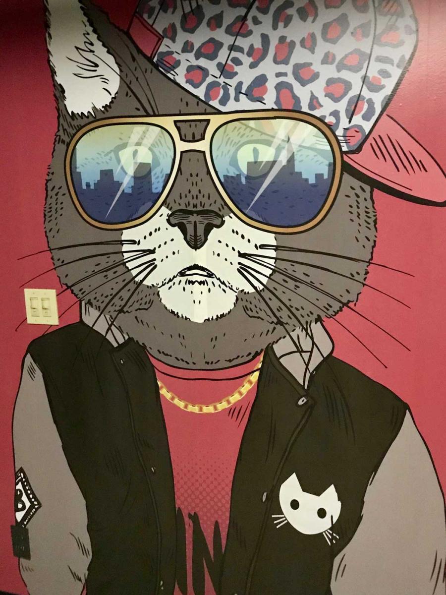 Swag Cat Wallpapers Wallpaper Cave