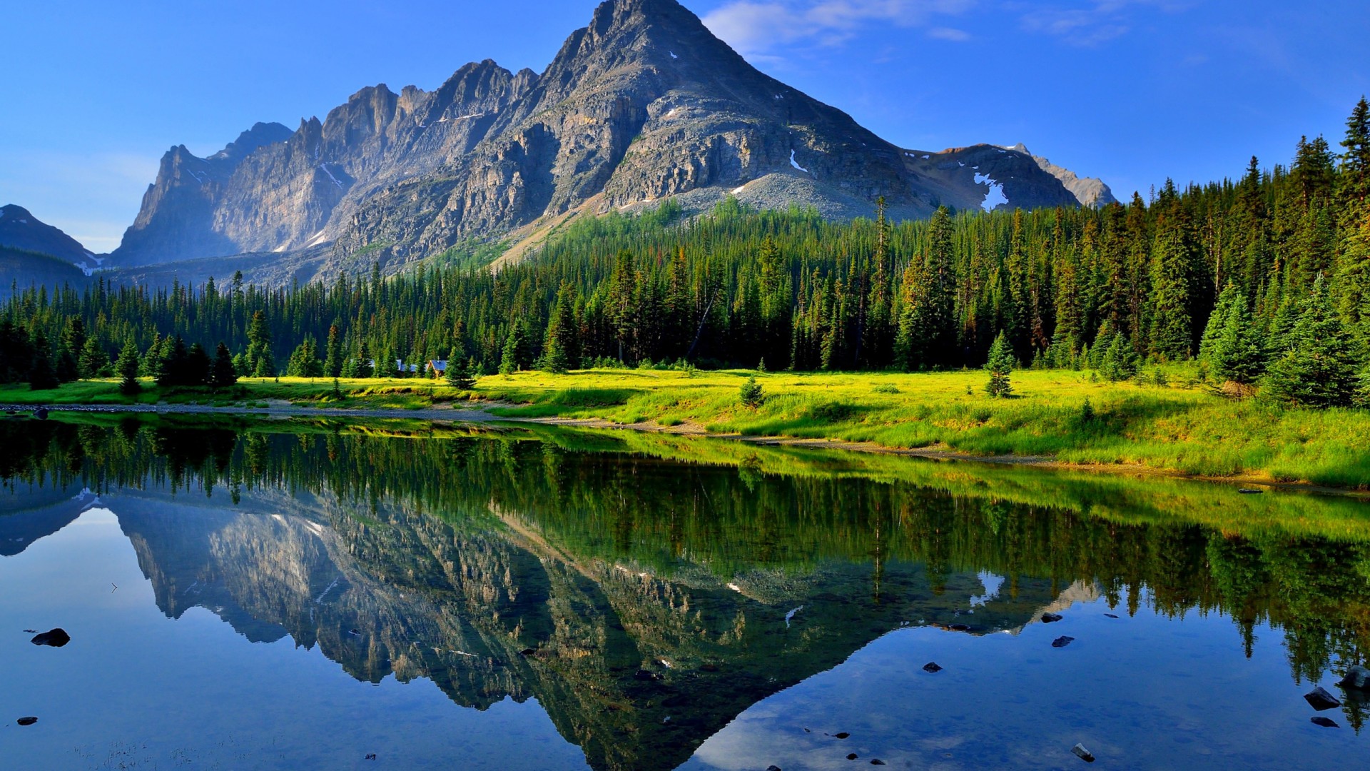 Hd Wallpaper Morning Summer Reflection Grass Lake Water