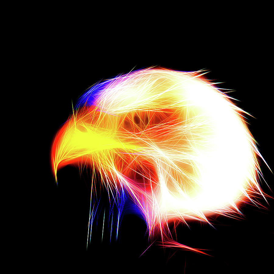 Neon Eagle Wallpapers - Wallpaper Cave