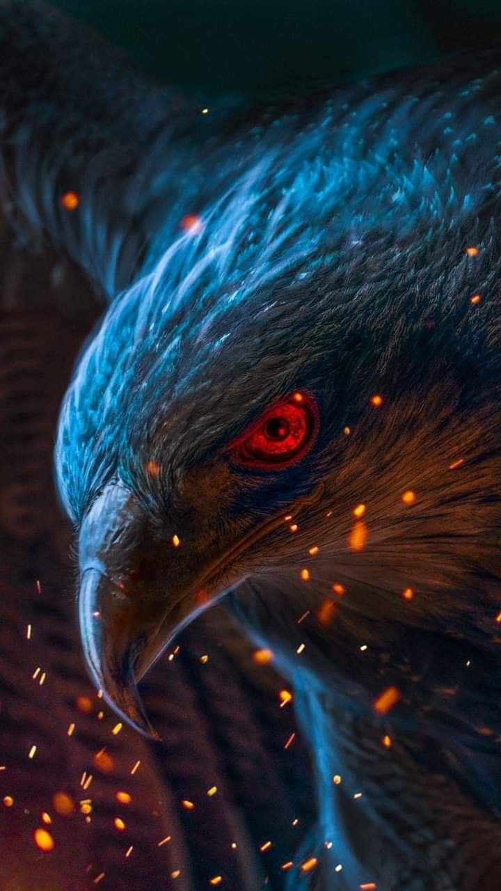 Eagle Wallpaper 4K, Bird of prey, Raptors, Red eyes