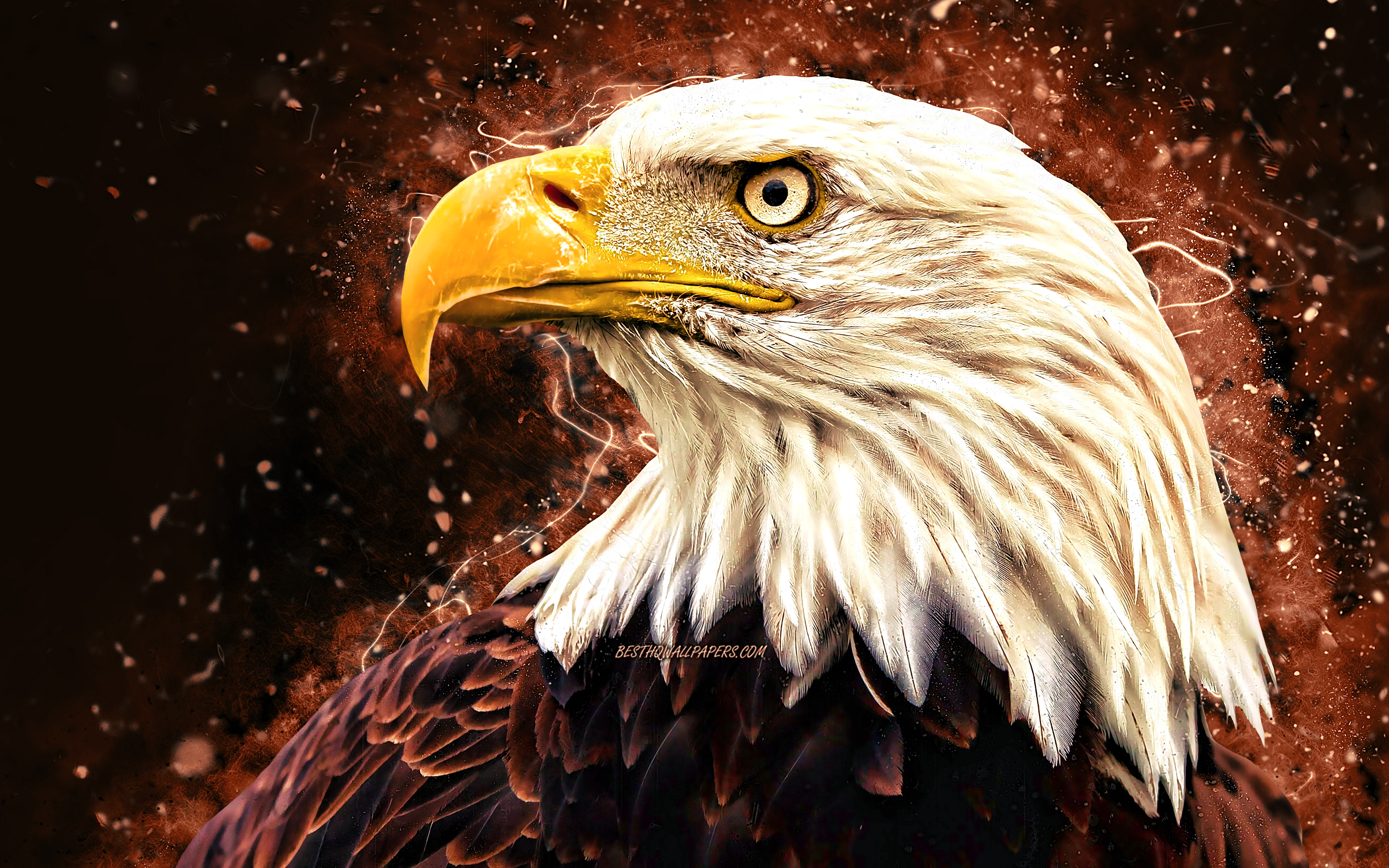 Download wallpaper Bald Eagle, 4k, brown neon lights, USA symbol, creative, birds of North America, eagle, Haliaeetus leucocephalus, Bald Eagle 4K for desktop with resolution 3840x2400. High Quality HD picture wallpaper