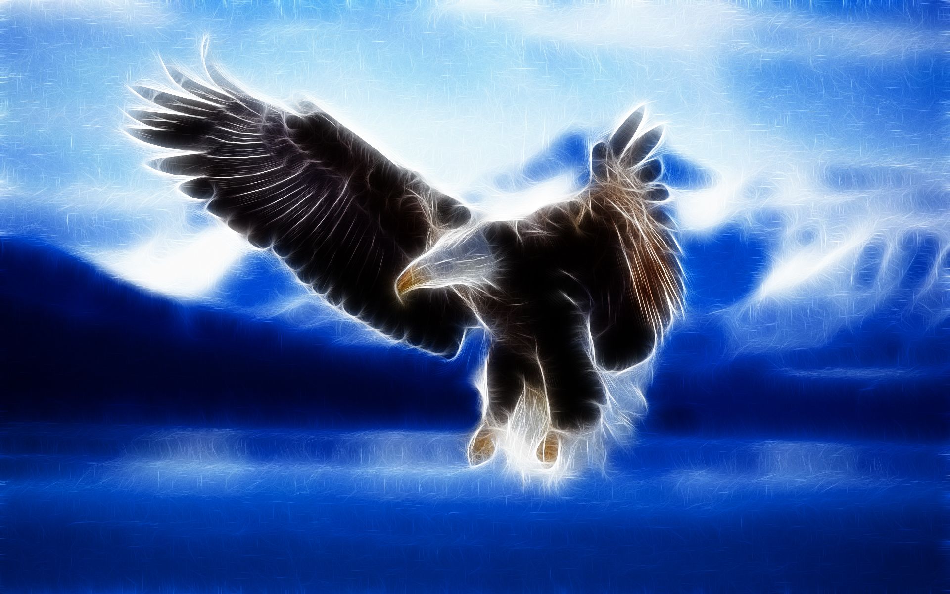 Live #Life #Right, Stay #Elevated, Stay #High. That is #How You #Fly. #Eagle #quote #carlthemuse. Bald eagle, Eagle picture, Eagle image