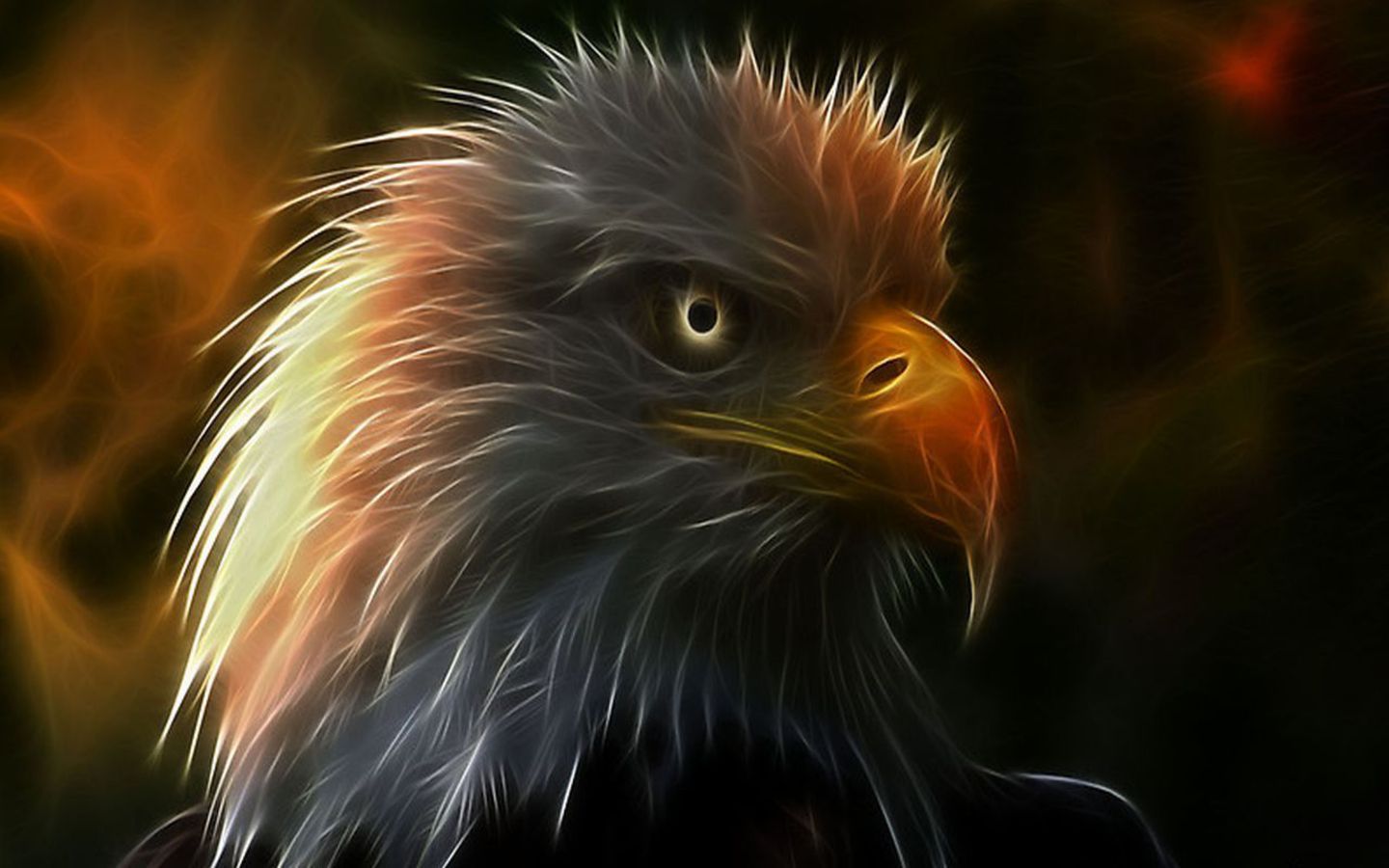 Using this beauty and power. Eagle wallpaper, Animal wallpaper, Wallpaper image hd