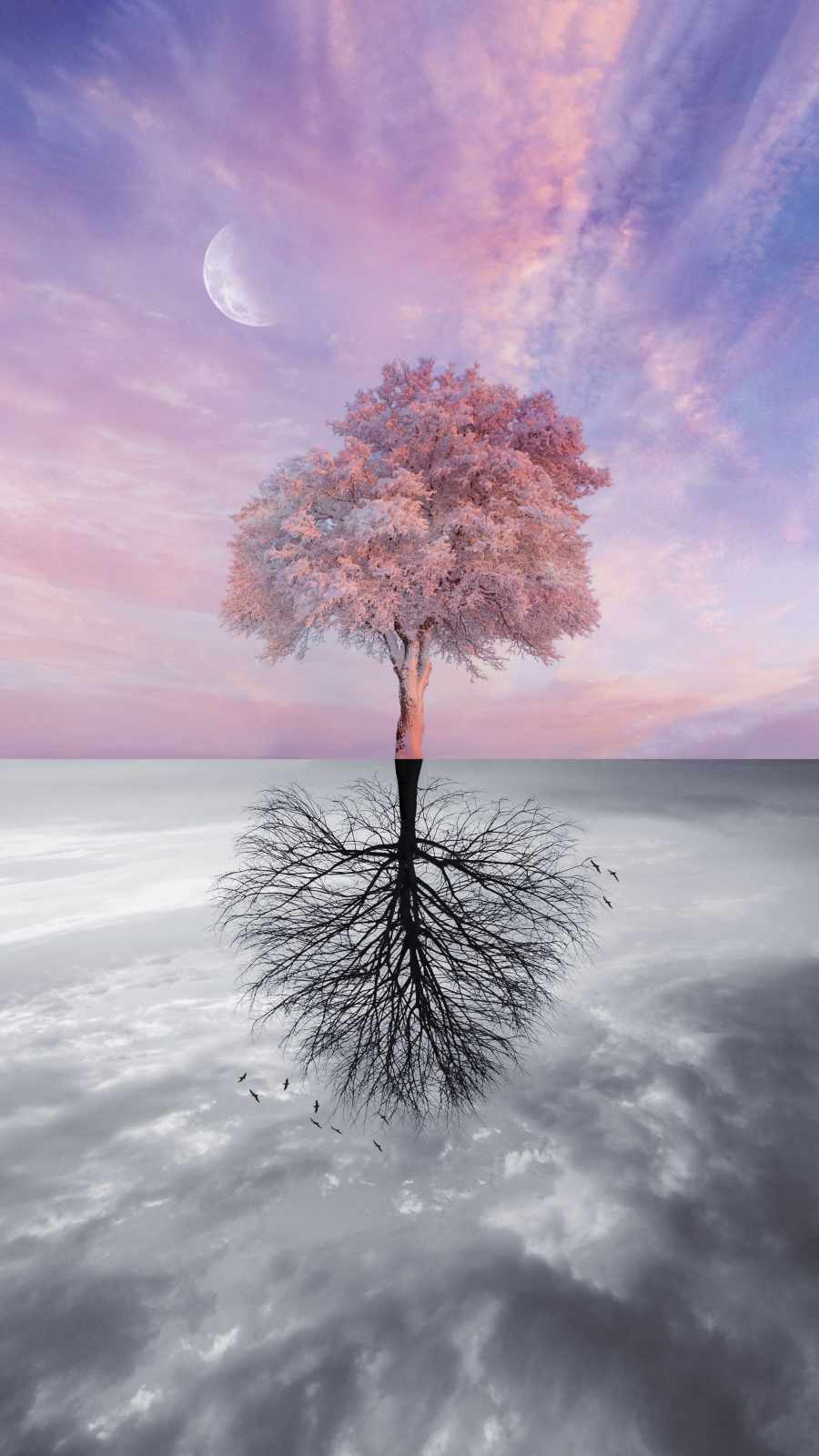 Winter Vs Summer IPhone Wallpaper Wallpaper, iPhone Wallpaper