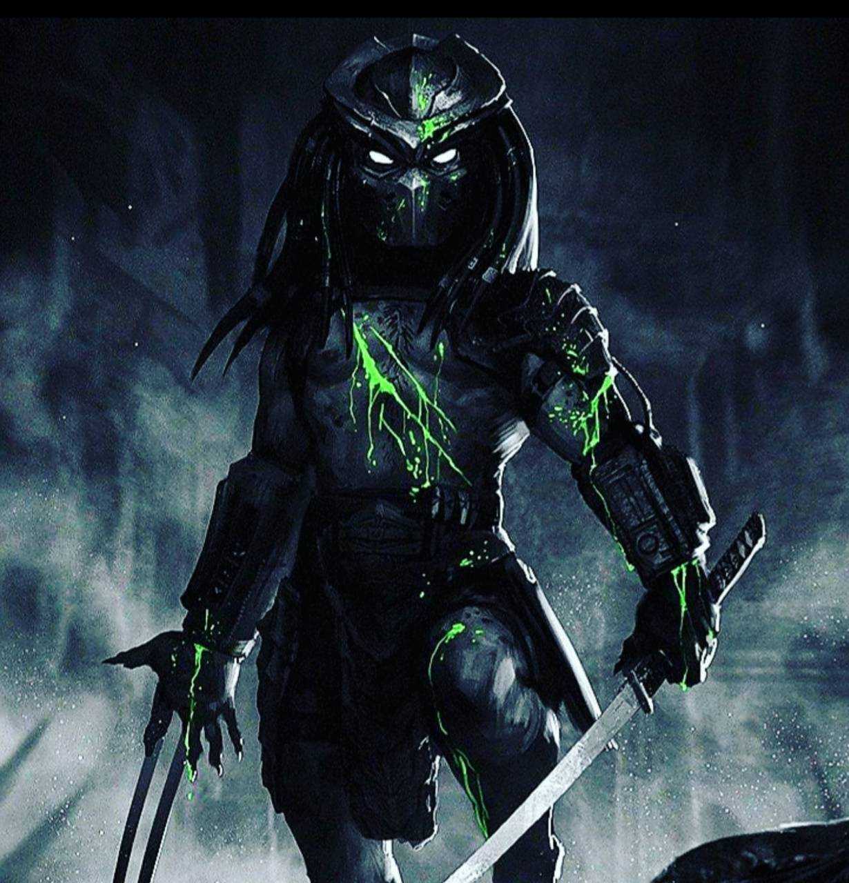 Predator Wallpaper