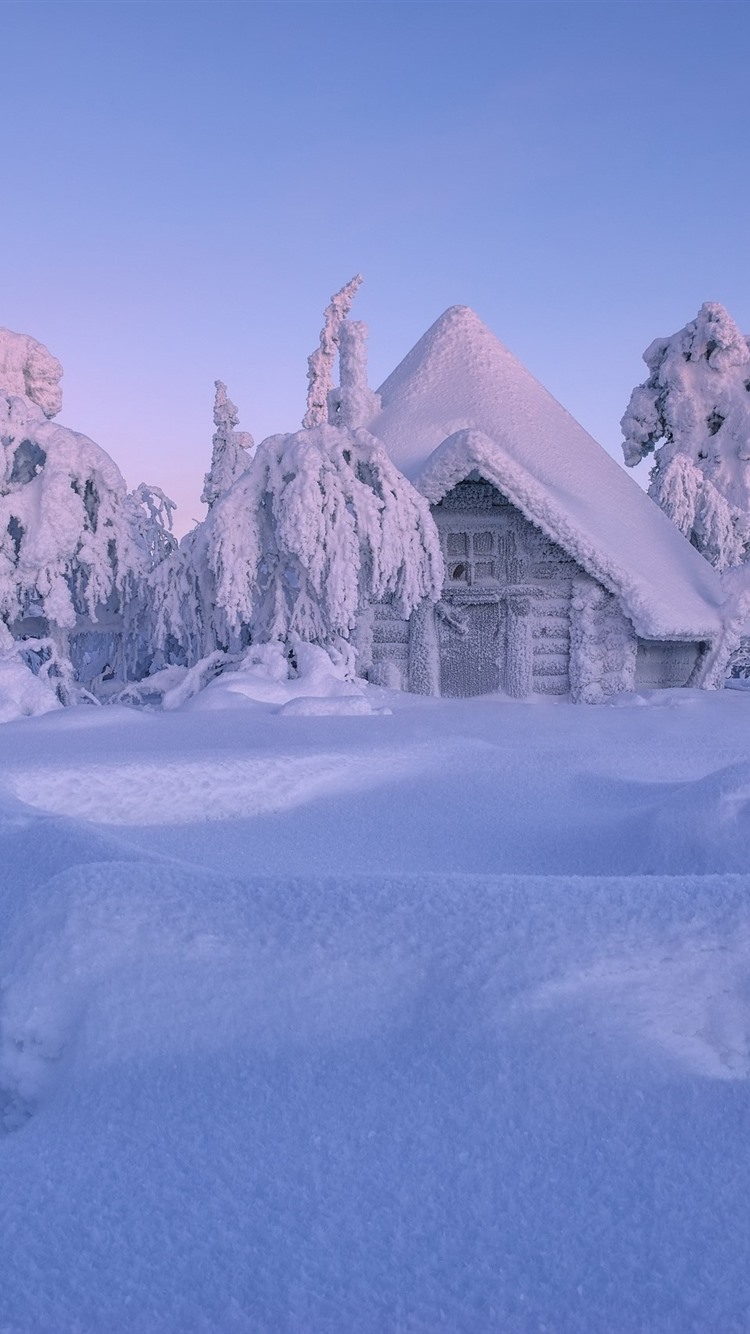 Finland, Lapland, Winter, Thick Snow, Trees, House 750x1334 IPhone 8 7 6 6S Wallpaper, Background, Picture, Image