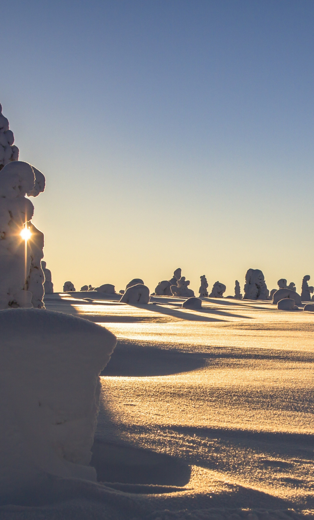 Download finland, landscape, winter, snow 1280x2120 wallpaper, iphone 6 plus, 1280x2120 HD image, background, 1153
